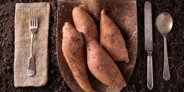 These 5 Potassium-Rich Foods Can Help Fight High Blood Pressure