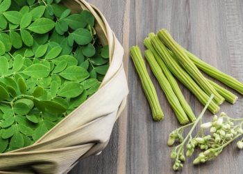Moringa – Why you shouldn’t go a day without this superfood