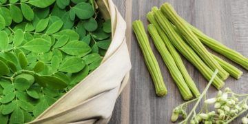 Moringa – Why you shouldn’t go a day without this superfood