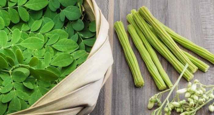 Moringa – Why you shouldn’t go a day without this superfood