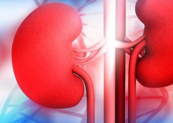 The Top 5 Causes Of Kidney Diseases And How To Avoid Them