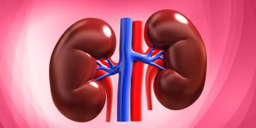 Harmful Effects Of High Blood Pressure On The Kidneys