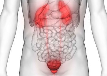 Learn Tips To Improve Your Prostate Health!