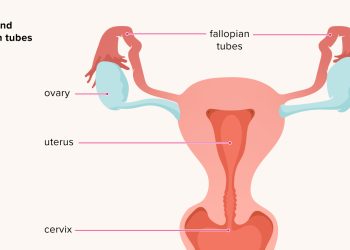 Pelvic Inflammatory Disease