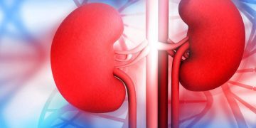 Kidney Disease: The Silent Threat to Your Health and How to Protect Yourself