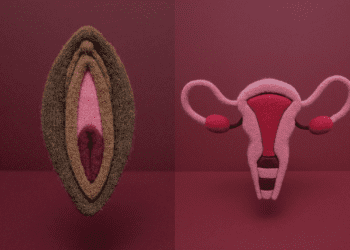 Signs of a Healthy Vagina