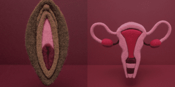 Signs of a Healthy Vagina