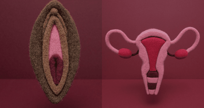 Signs of a Healthy Vagina