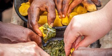 The Power of Mindful Eating