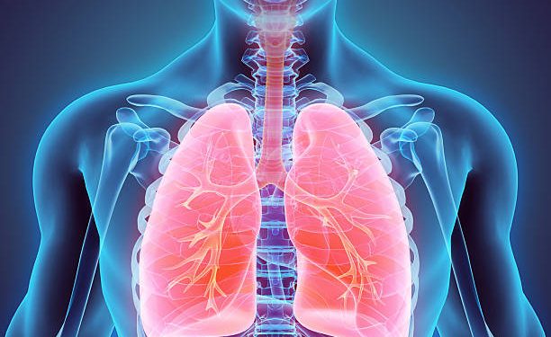 Understanding Body Composition and Its Impact on Health