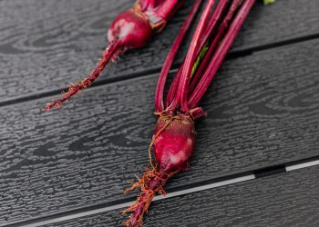 The Health Benefits of Beetroot
