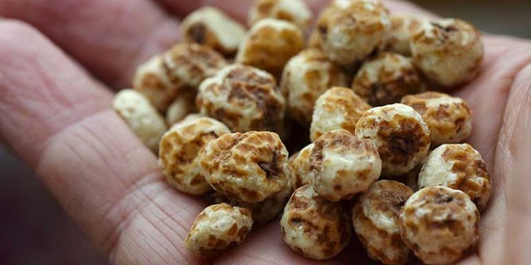 The Health Benefits of Tiger Nuts