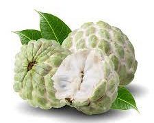 The Health Benefits of Sugar Apple